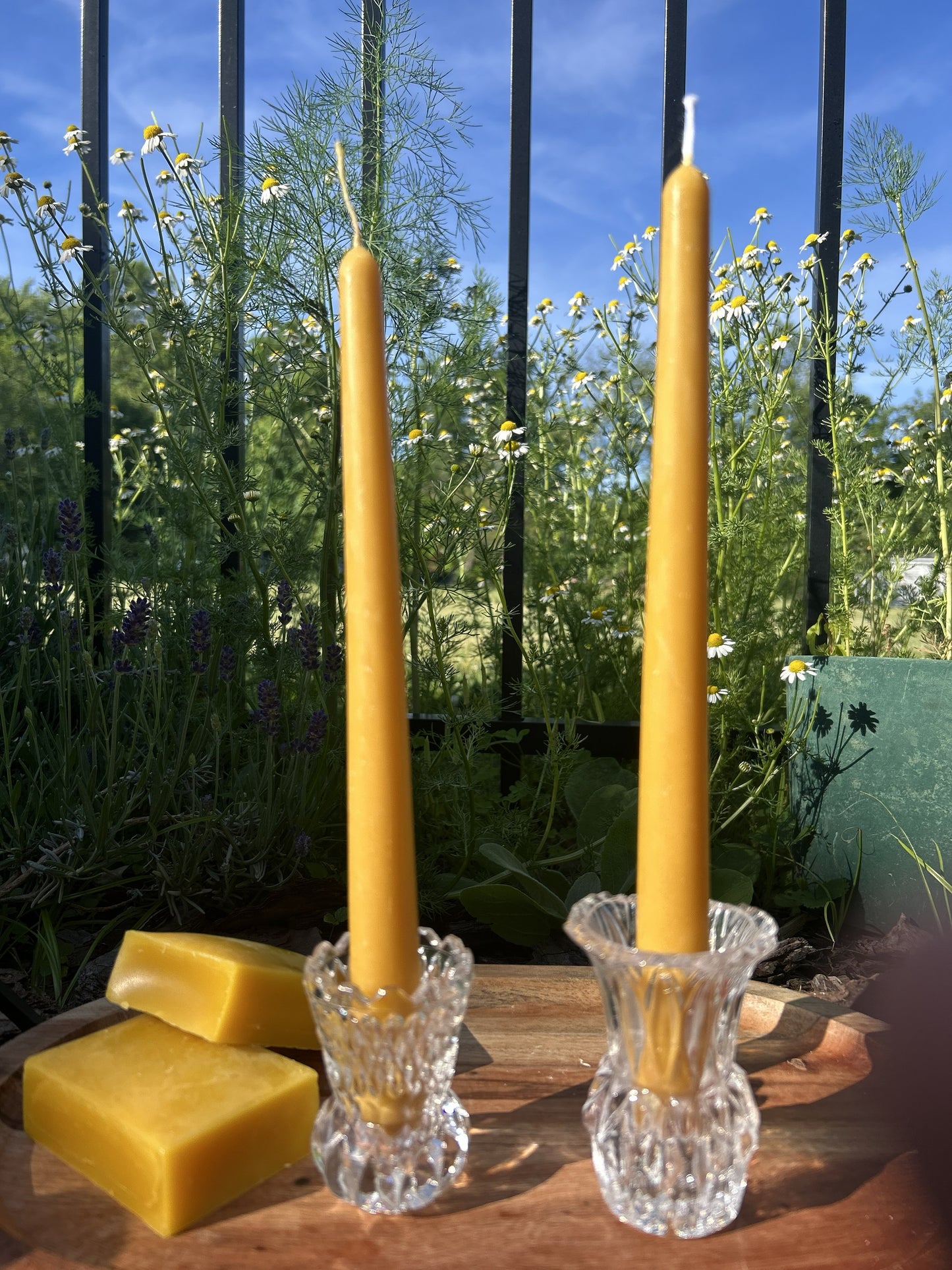 10" Beeswax Dinner Candles