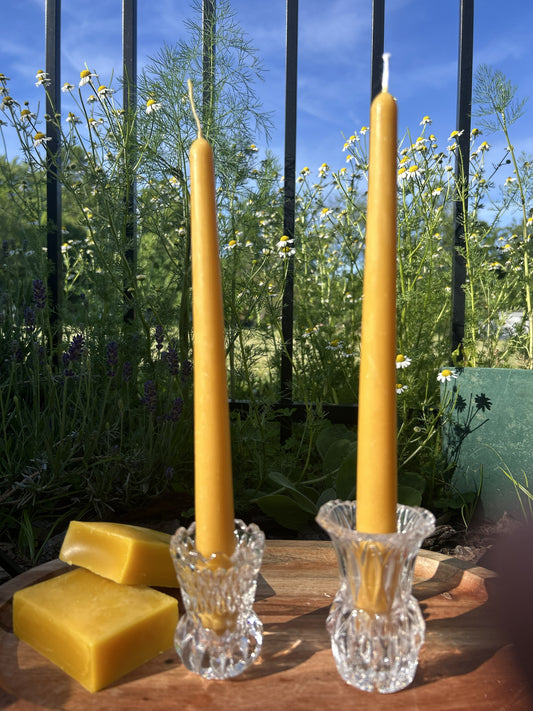 10" Beeswax Dinner Candles