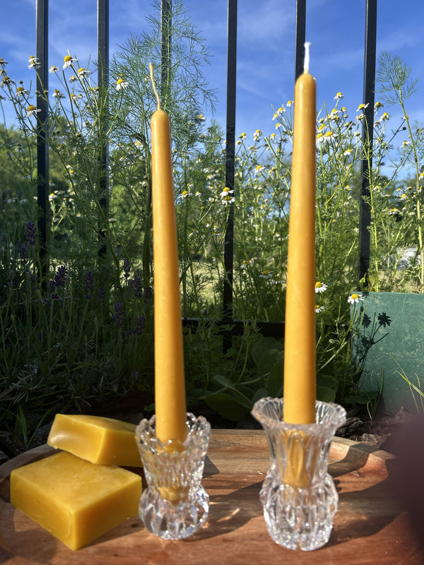10" Beeswax Dinner Candles