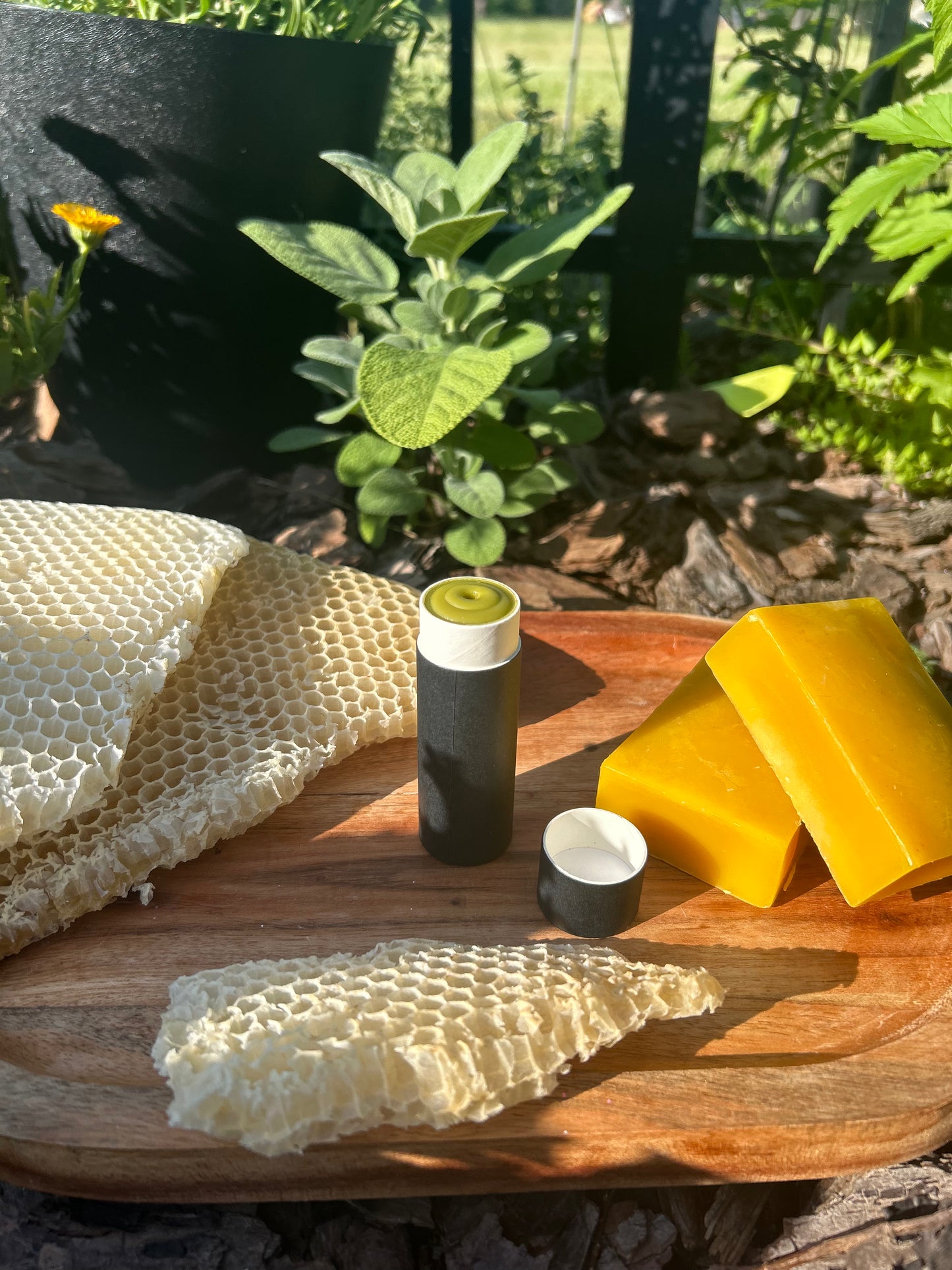 Beeswax Lip Balm