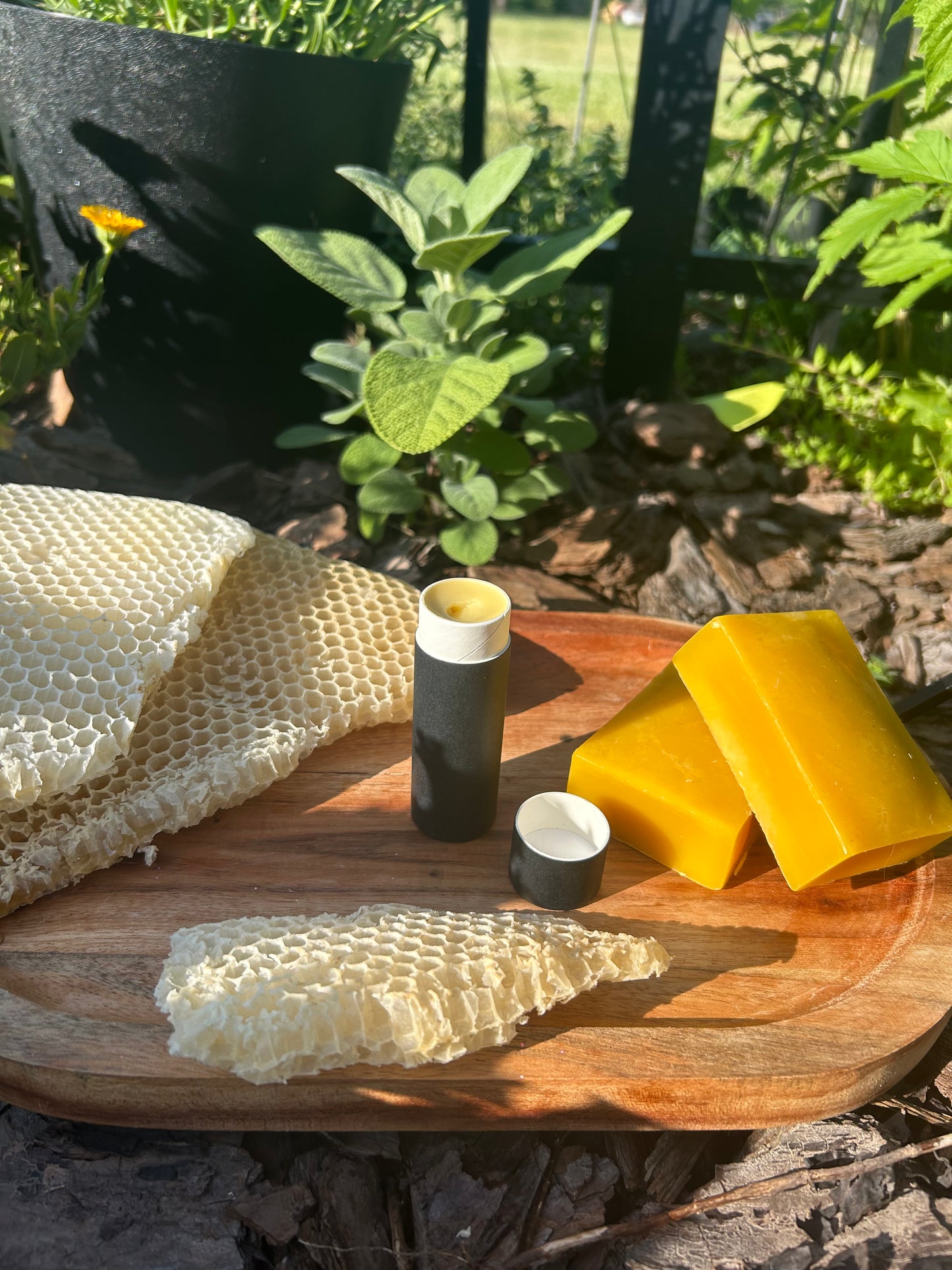 Beeswax Lip Balm
